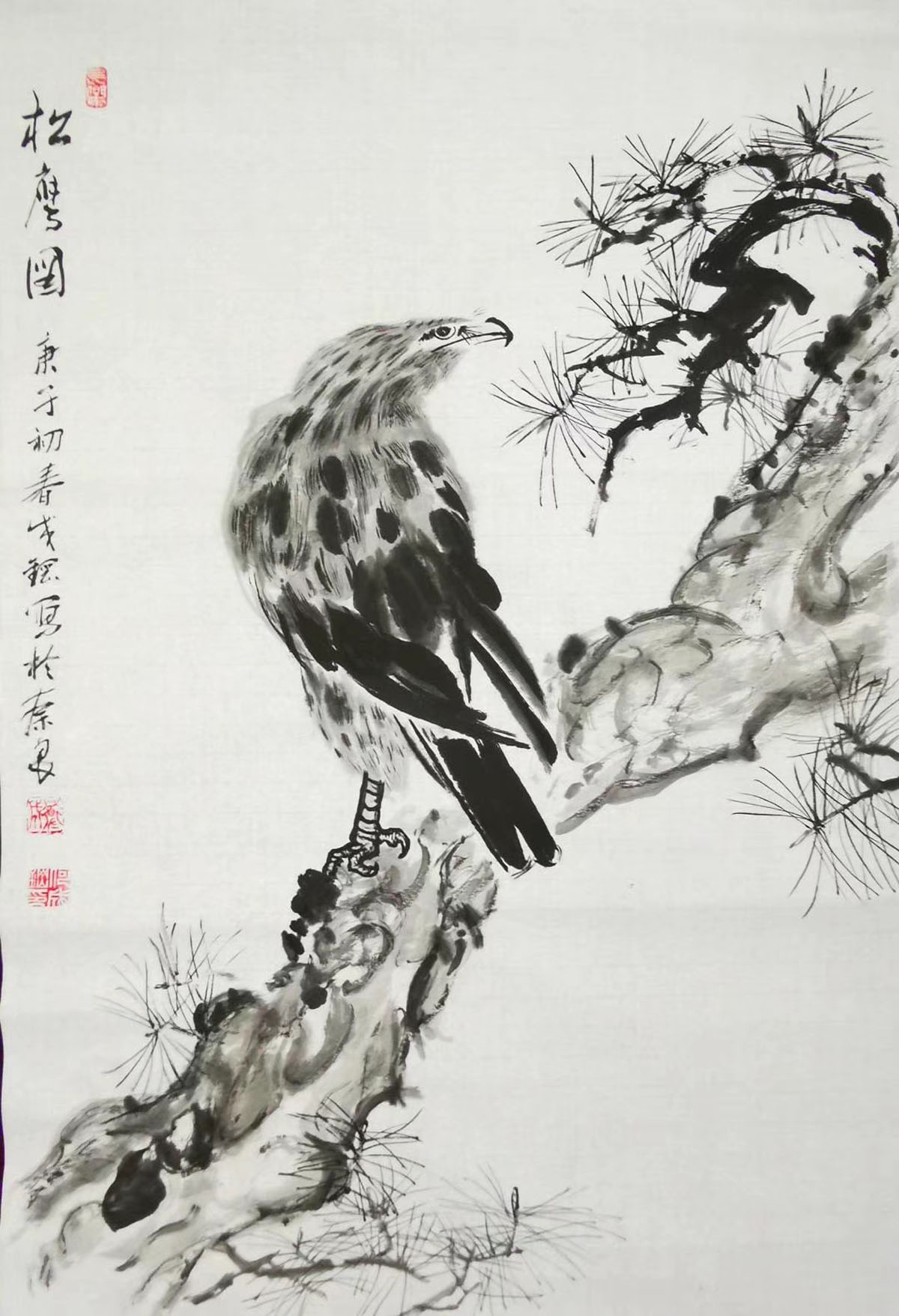 松鹰图  水墨画 90 x 60cm